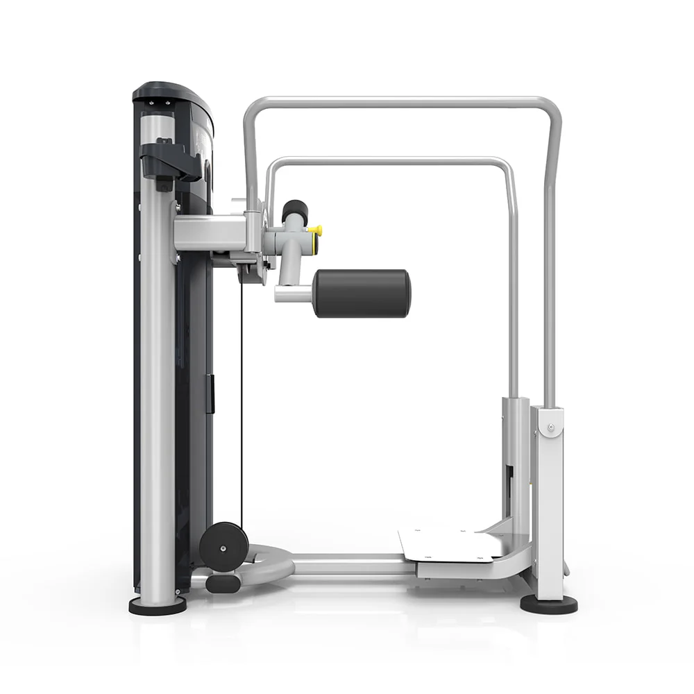 hanche/fessier - Image 3