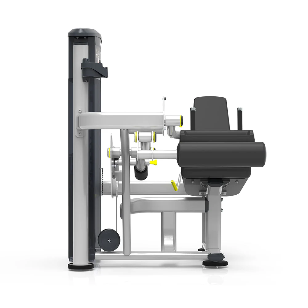 Machine Ischio Jambiers - Image 3